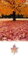 Fall Carpet of Leaves Personalize Banner