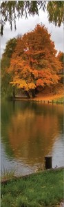 Beautiful Fall Lake Banner