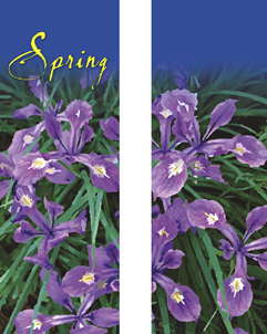 Beautiful Spring Purple Iris Double Banner