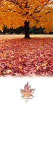 Fall Carpet of Leaves Personalize Banner