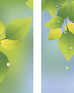 Spring and Summer Green Leaves with Raindrops Double Banner