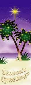 Sandy Beach with Decorated Palm Trees Seasons Greetings Banner