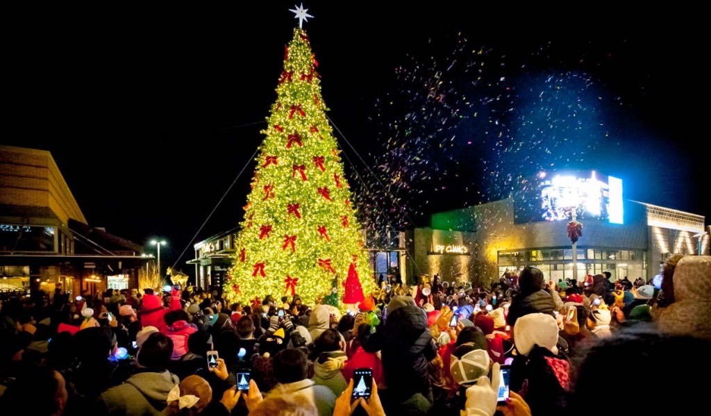 buy giant designer commercial Christmas trees